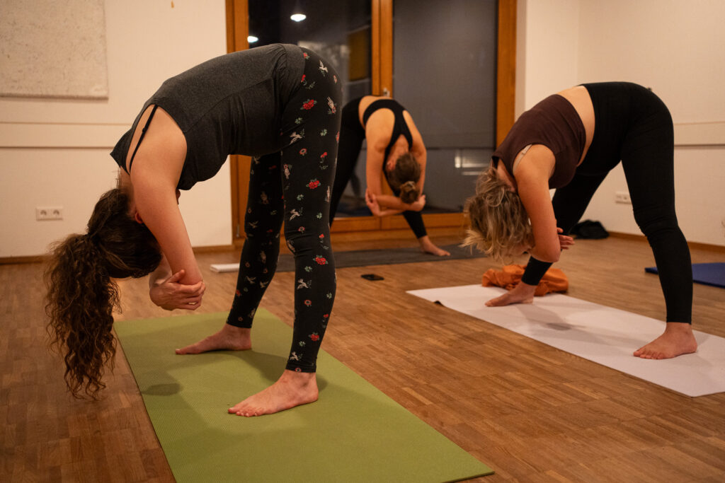 Teilnehmerinnen im Yoga-Kurs beugen sich in Vorwärtsbeuge, Yoga-Fotoshooting