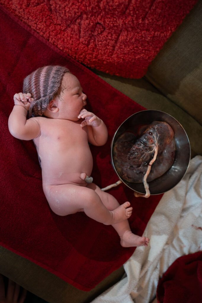 Neugeborenes liegt auf Handtuch, neben ihm eine Schüssel mit der Plazenta, verbunden durch Nabelschnur, Geburtsfotografie Esslingen, Geburtsreportage Stuttgart