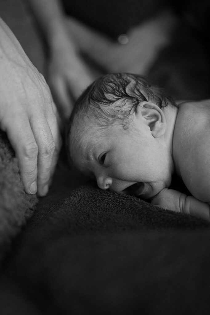 schwarz weiß Babyfoto, Neugeborenes auf Sofa mit gehobenem Kopf, Geburtsfotografie Esslingen